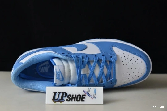 University Dunk Low Blue Nike DD1391-102 0719